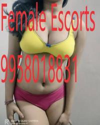 Call Girls In Akshardham 9958018831 Escorts ServiCe In Delhi Ncr